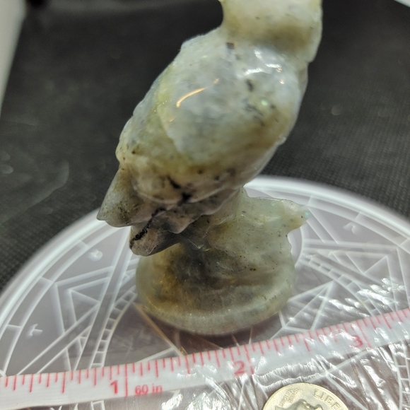 Labordite Eagle - Picture 4 of 6